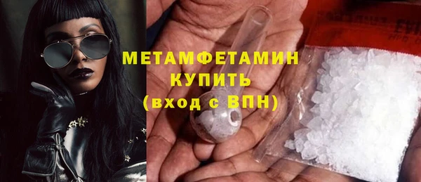 ПСИЛОЦИБИНОВЫЕ ГРИБЫ Вяземский