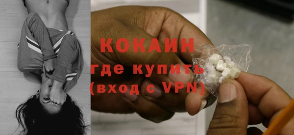 твердый Горняк