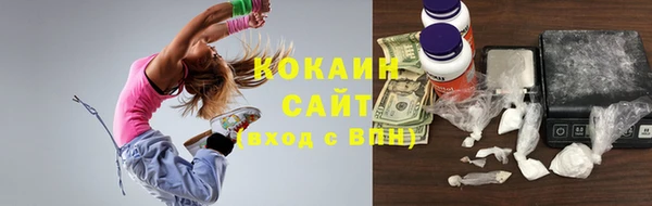 шишки Горнозаводск