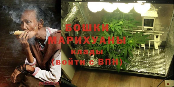 ПСИЛОЦИБИНОВЫЕ ГРИБЫ Вяземский