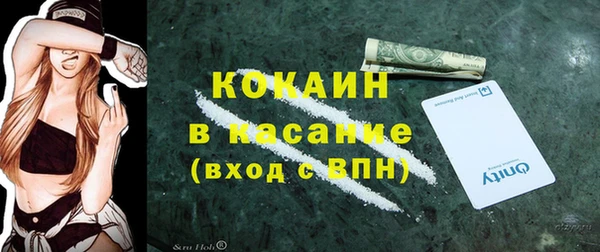 ПСИЛОЦИБИНОВЫЕ ГРИБЫ Вяземский