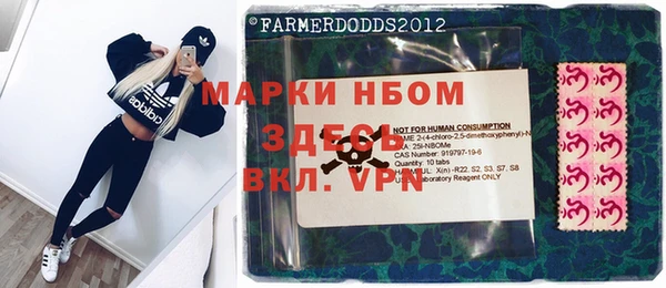 ПСИЛОЦИБИНОВЫЕ ГРИБЫ Вяземский