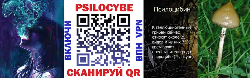 Галлюциногенные грибы Psilocybe  цена   hydra   Задонск 
